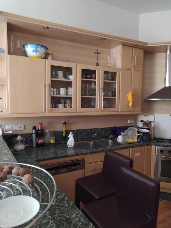Private Room In Shared Luxurious Palace Like Apartment With 2 Bathrooms Including Whirlpool And Virtual Reality Прага Екстер'єр фото